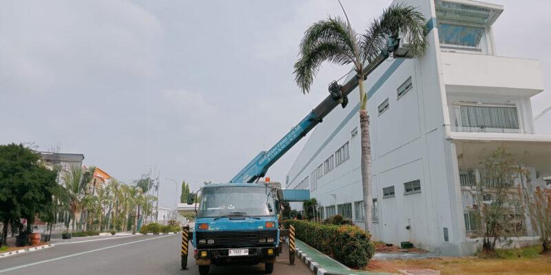 Biaya Terkendali dengan sewa skylift